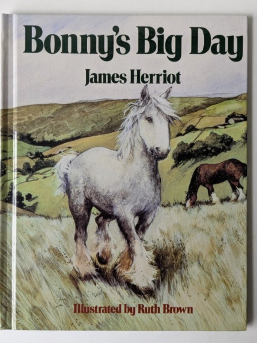 5/$15 Kids Picture Book Bonny's Big Day James Herriot HC Farm PreK Kindergarten